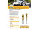 KIT SOSPENSIONI REGOLABILI OHLINS ROAD&TRACK PORSCHE 981 CAYMAN 2013-2016