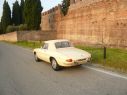 RAGAZZON STAINLESS STEEL REAR ALFA ROMEO DUETTO/SPIDER 1° SERIE - 1750 114CV 'OSSO DI SEPPIA' 1967-1969