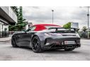 RAGAZZON REAR TUBE GR. N INOX MERCEDES AMG GT 190 COUPÈ/ROADSTER GT-R 4.0I V8 430KW 2017+